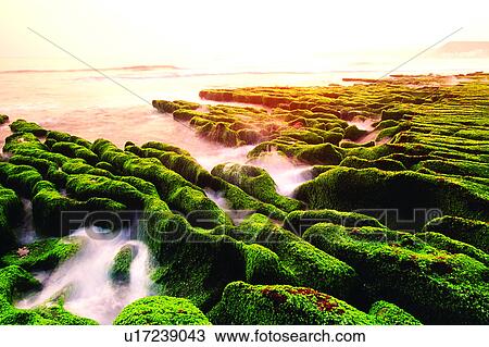 Moss, Reef, Sea, Sky, Natural landscape, Seaside, Seas View Large Photo Image Stock Image - Moss, Reef, Sea, Sky, Natural landscape, Seaside, Seas. Fotosearch