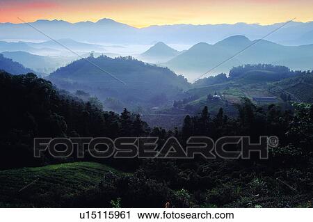 Mountain, Plants, Landscape, Clouds, Cloud, Plant, Sky View Large Photo Image Stock Image - Mountain, Plants, Landscape, Clouds, Cloud, Plant, Sky. Fotosearch