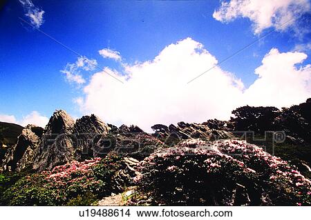 Nature, Countryside, Blue sky, Rock, Field, Cloud, Tree View Large Photo Image Picture - Nature, Countryside, Blue sky, Rock, Field, Cloud, Tree. Fotosearch