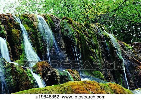 Plant, Rocks, Waterfall, Rock, Nature, Natural landscape, Woods View Large Photo Image Stock Image - Plant, Rocks, Waterfall, Rock, Nature, Natural landscape, Woods. Fotosearch