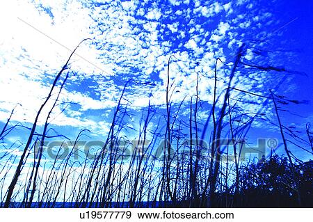 Sky, Plant, Nature, Countryside, Landscape, Grass, Cloud View Large Photo Image Stock Photo - Sky, Plant, Nature, Countryside, Landscape, Grass, Cloud. Fotosearch