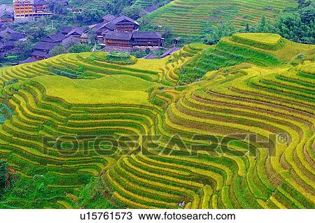Stock Image - Villeges, Houses, Sky, Clouds, Terrace, Plants, Community. Fotosearch