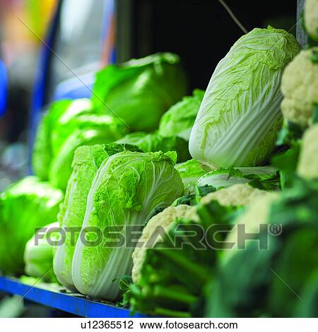 Cauliflower, Plant, Celery cabbage, Vegetable stand, Vegetable stands, Vending, Planting View Large Photo Image Stock Image - Cauliflower, Plant, Celery cabbage, Vegetable stand, Vegetable stands, Vending, Planting. Fotosearch