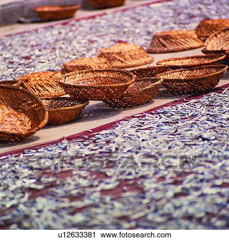 Stock Image - Dried fish, Animal, Insolation, Fishery, Basket, Baskets, Animals. Fotosearch