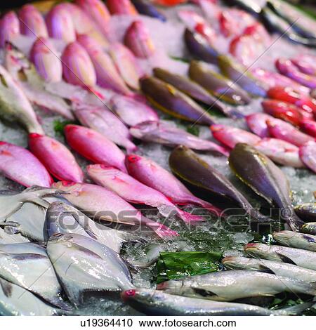 Stock Image - Fishing port, Fishery, Animals, Fishing ports, Ice cubes, Animal, Fish market. Fotosearch