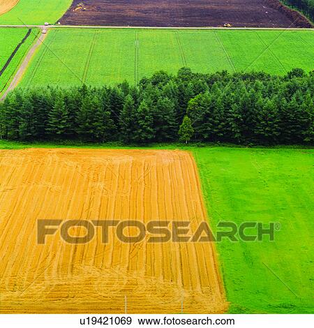 Stock Photo - Planting, Grassland, Tree, Plant, Windbreaker, Trees, Agriculture. Fotosearch