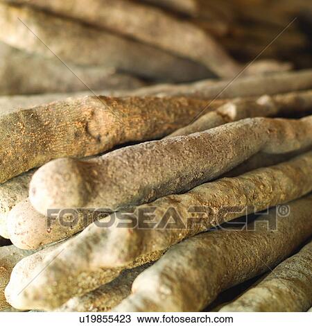 Vegetables, Vending, Plant, Harvesting, Business, Planting, Agriculture View Large Photo Image Stock Image - Vegetables, Vending, Plant, Harvesting, Business, Planting, Agriculture. Fotosearch