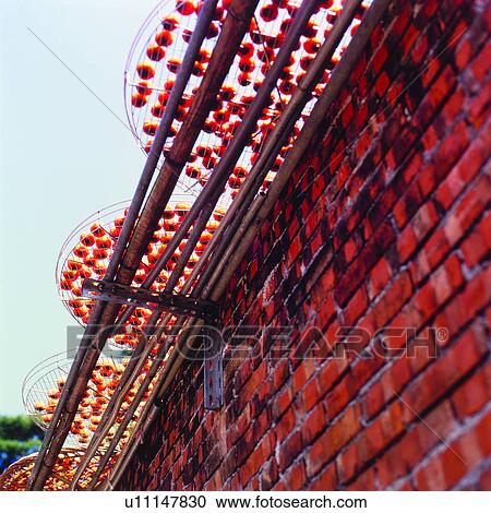 Stock Image - Walls, Brick wall, Fruit, Shelf, Wall, Fruits, Dried persimmon. Fotosearch