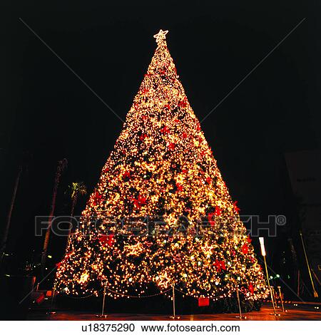 Christmas Decorations, Amusement, Illumination, Christmas Day, finalising, Festive, Culture View Large Photo Image Stock Image - Christmas Decorations, Amusement, Illumination, Christmas Day, finalising, Festive, Culture. Fotosearch