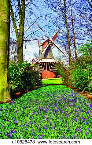Stock Photo - Houses, Gardens, Plants, Grass, Building, Artificial Landscape. Fotosearch