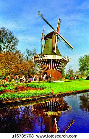 Houses, Windmill, Flower, House, Gardens, Plant, Tree View Large Photo Image Stock Photo - Houses, Windmill, Flower, House, Gardens, Plant, Tree. Fotosearch