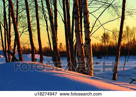 Stock Photo - Lights, US & Euro Landscape, Constructions, Light, Building, River, City. Fotosearch