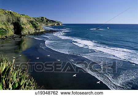 Stock Image - Coast, Beach, Animals, Waterscape, Sea, Lifeful. Fotosearch