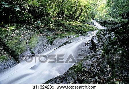 Stock Photography - Flowing, Lifeful, Scenery, Water, Landscape. Fotosearch