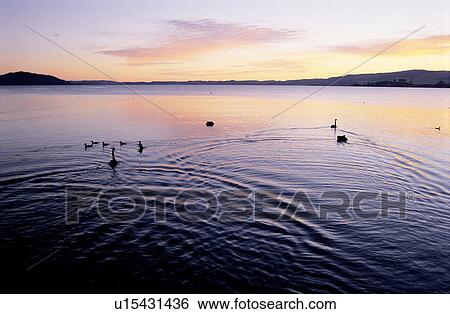 Landscape, Peaceful, Scene, Scenery, Animals, Waterscape View Large Photo Image Stock Photograph - Landscape, Peaceful, Scene, Scenery, Animals, Waterscape. Fotosearch