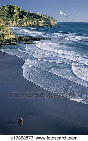 Landscape, Stones, Water, Beach, Animals, Coast, Surf View Large Photo Image Stock Image - Landscape, Stones, Water, Beach, Animals, Coast, Surf. Fotosearch