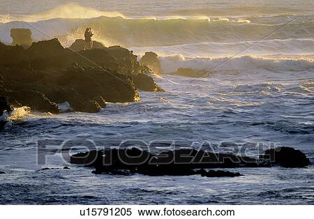 Lifeful, Coast, Sea, Coast, Scene, People View Large Photo Image Stock Photography - Lifeful, Coast, Sea, Coast, Scene, People. Fotosearch