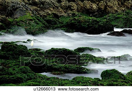 Scene, Nature, Landscape, Coast, Lifeful View Large Photo Image Stock Image - Scene, Nature, Landscape, Coast, Lifeful. Fotosearch