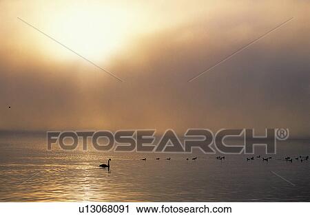 Stock Image - Sea, Peaceful, Landscape, Sunset, Coast, Afterglow. Fotosearch