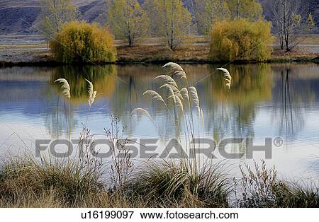 Shoreside, Lake, Peaceful, Lifeful, Scenery, Waterscape, Nature View Large Photo Image Stock Photo - Shoreside, Lake, Peaceful, Lifeful, Scenery, Waterscape, Nature. Fotosearch