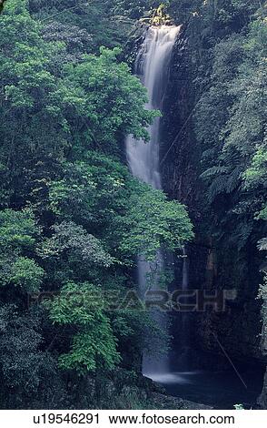 Waterscape, Scene, Lifeful, Mossy, Landscape View Large Photo Image Stock Image - Waterscape, Scene, Lifeful, Mossy, Landscape. Fotosearch