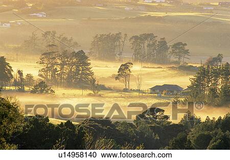 Stock Image - Clouds, Forests, Plant, Bushes, Forest & Tree, Plants, Woods. Fotosearch