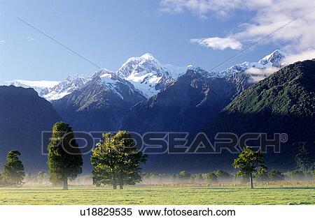Stock Photography - Falling leaves, Forest, Forest & Tree, Forests, Plants, Falling leaf. Fotosearch