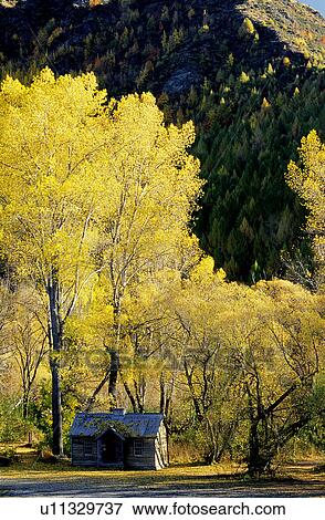 Stock Photo - Leaf, Branches, House, Trunk, Woods, Trees. Fotosearch