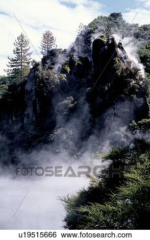Stock Photograph - Leaf, Forest, Mist, Cloud, Bushes, Forests. Fotosearch