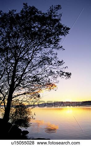 Plant, Lakes, Bushes, Trunk, Lake, Mountains View Large Photo Image Stock Photo - Plant, Lakes, Bushes, Trunk, Lake, Mountains. Fotosearch