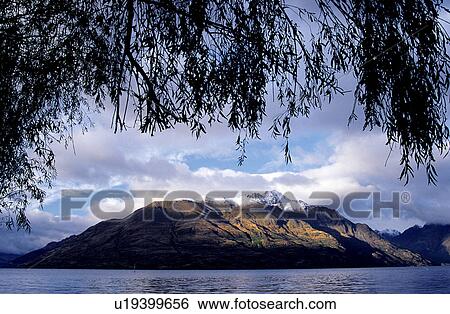 Stock Photograph - Plants, Forests, Branches, Bushes, Plant, Woods, Water. Fotosearch