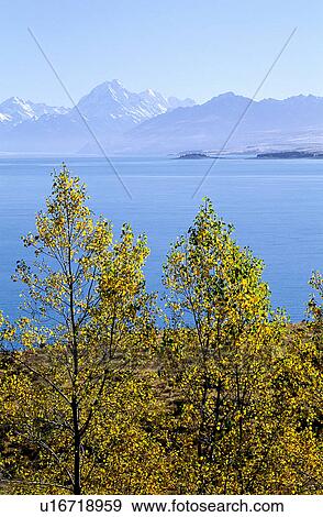 Trees, Lake, Branch, Tree View Large Photo Image Stock Photo - Trees, Lake, Branch, Tree. Fotosearch