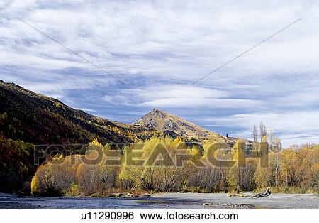 Woods, Leaves, Bushes, Cloud, Mountain View Large Photo Image Stock Photograph - Woods, Leaves, Bushes, Cloud, Mountain. Fotosearch