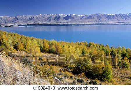 Stock Image - Woods, Mountains, Lake, Bushes, Tree, Forest. Fotosearch