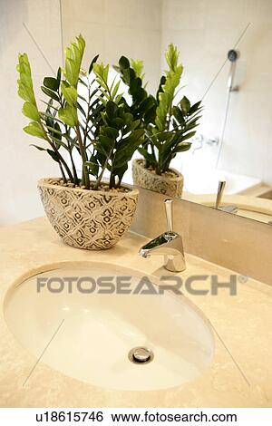 Stock Photograph - Bathrooms, Furniture, Plants, Shower rooms, Interior Art 2, Plant, Toilets. Fotosearch