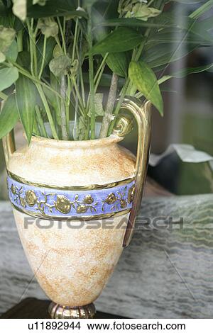 Bottles, Container, Gardens, Pot plants, Bottle, Containers, Vase View Large Photo Image Picture - Bottles, Container, Gardens, Pot plants, Bottle, Containers, Vase. Fotosearch