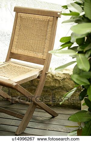 Stock Photo - Decoration, Plant, Resting, Furniture, Trees, Plants. Fotosearch