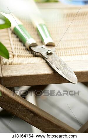 Gardens, Plants, Furniture, Garden, Interior Art 2, Plant View Large Photo Image Picture - Gardens, Plants, Furniture, Garden, Interior Art 2, Plant. Fotosearch
