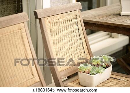 Grassland, Trees, Interior Art 2, Decoration, Gardens, Pot plant View Large Photo Image Stock Photography - Grassland, Trees, Interior Art 2, Decoration, Gardens, Pot plant. Fotosearch