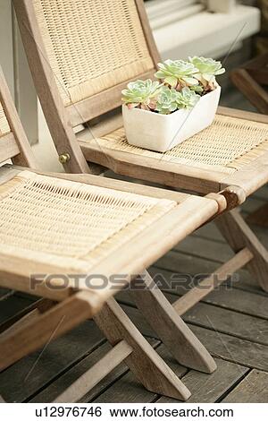 Plant, Garden, Gardens, Interior Art 2, Decoration, Chairs, Furniture View Large Photo Image Stock Photograph - Plant, Garden, Gardens, Interior Art 2, Decoration, Chairs, Furniture. Fotosearch