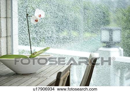 Plant, Table, Pot plants, Decoration, Furniture, Resting, Chairs View Large Photo Image Picture - Plant, Table, Pot plants, Decoration, Furniture, Resting, Chairs. Fotosearch