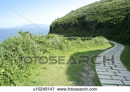 Stock Photo - greenl, the forest, trees, shady path of forest, the mountain, the garden. Fotosearch