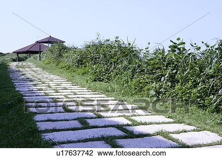 greenland, outdoors, the park, greenshade, shady path of forest, the forest is shady, the trees View Large Photo Image Stock Image - greenland, outdoors, the park, greenshade, shady path of forest, the forest is shady, the trees. Fotosearch