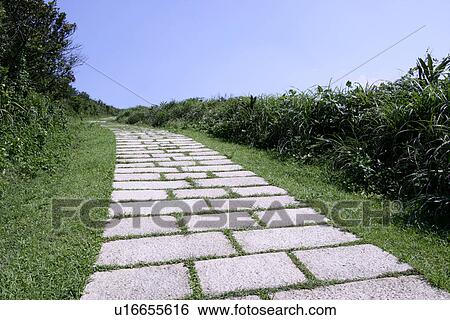 Stock Photograph - greenshade, spring, the route, the path, trees, outside. Fotosearch