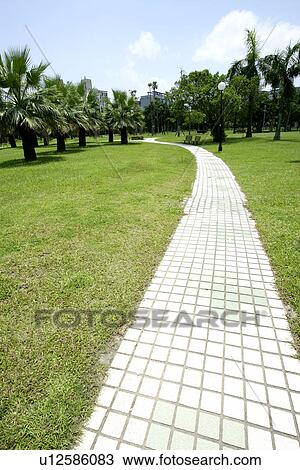 Stock Image - greenshade, the pavement, the forest, spring, in spring. Fotosearch
