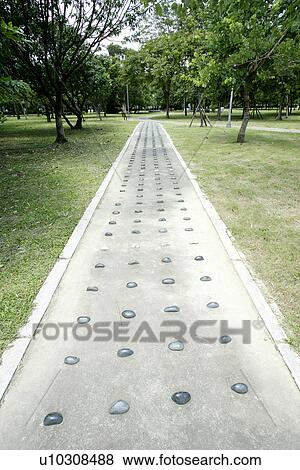 Stock Photo - greenshade, trees, Scenic Road, the garden, the forest, the grassland. Fotosearch