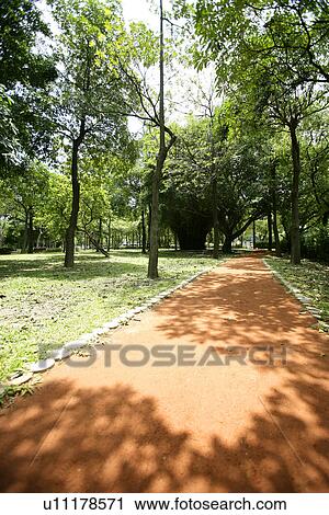 Stock Image - it is cool, outside, shady, the grassland, outdoors, shady path of forest, greenshade. Fotosearch