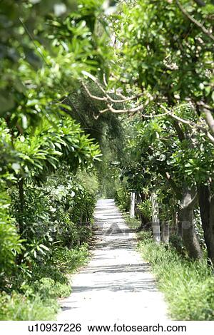 Stock Photograph - it is cool, Scenic Road, the daytime, the path, the pavement, spring. Fotosearch