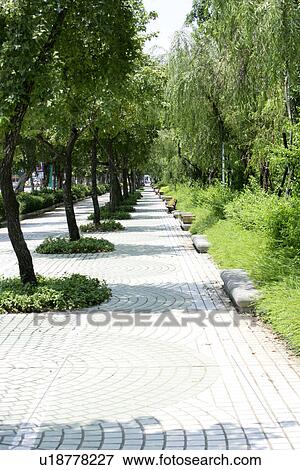 Stock Photo - leaves, the forest, the daytime, the garden, trees. Fotosearch