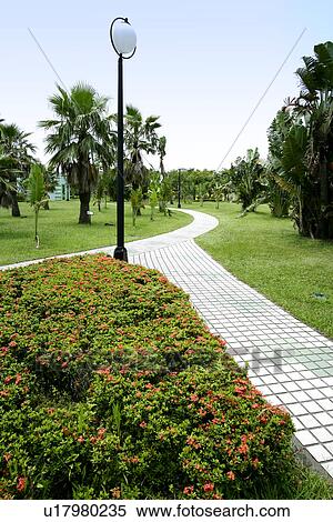 Stock Photography - leaves, the garden, the flower, spr, shady path of forest, the park. Fotosearch
